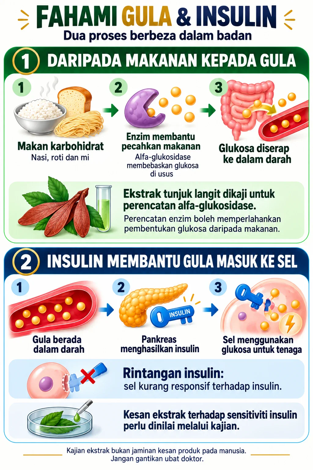 Infografik